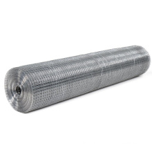 China Best Price Galvanized Welded Wire Netting (WWN)